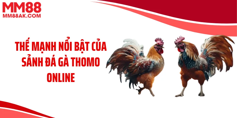 Thế mạnh nổi bật của sảnh đá gà Thomo online